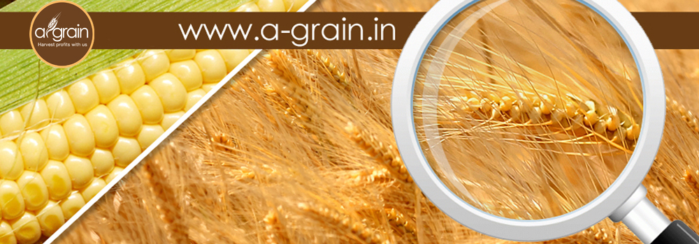 a-grain.in